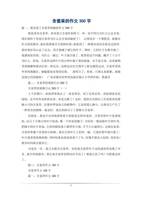 含羞草的作文300字