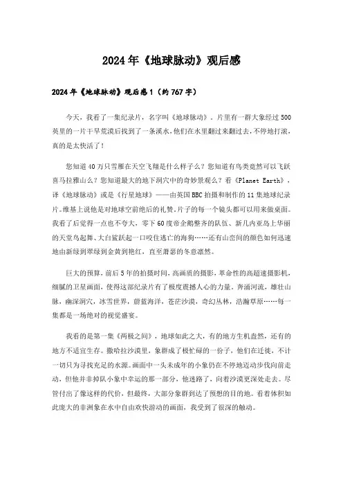 2024年《地球脉动》观后感_6