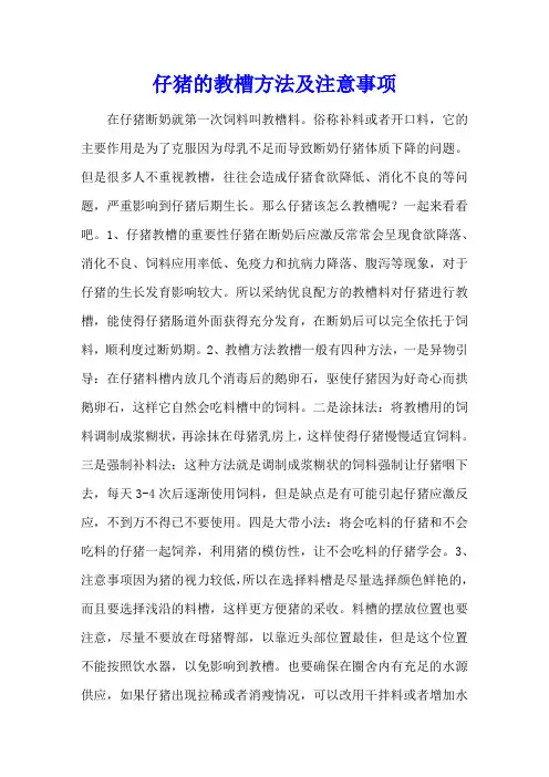 仔猪的教槽方法及注意事项