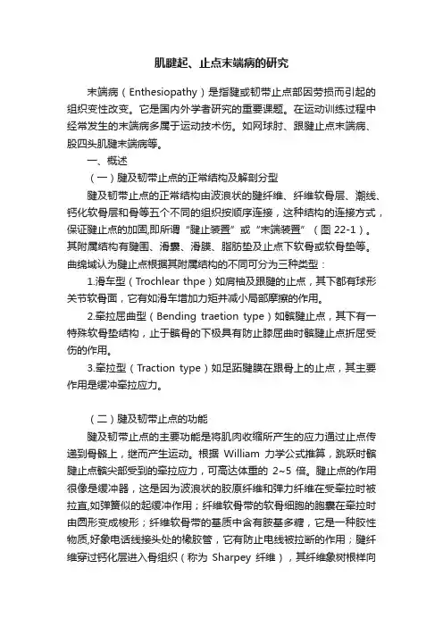 肌腱起、止点末端病的研究