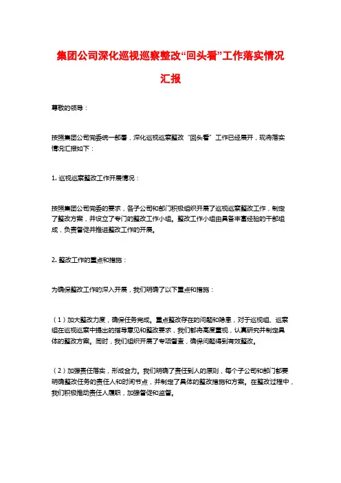 集团公司深化巡视巡察整改“回头看”工作落实情况汇报