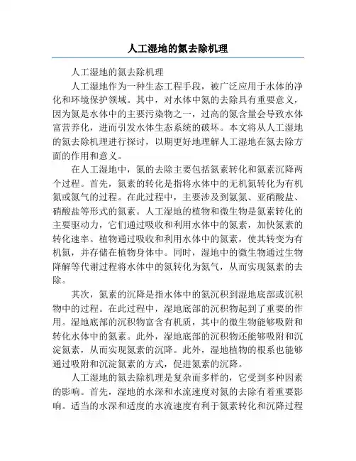 人工湿地的氮去除机理