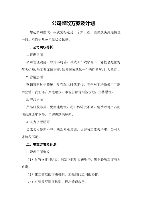 公司整改方案及计划