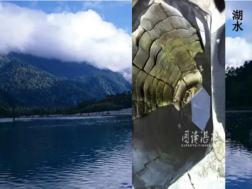 水的净化精选课件PPT