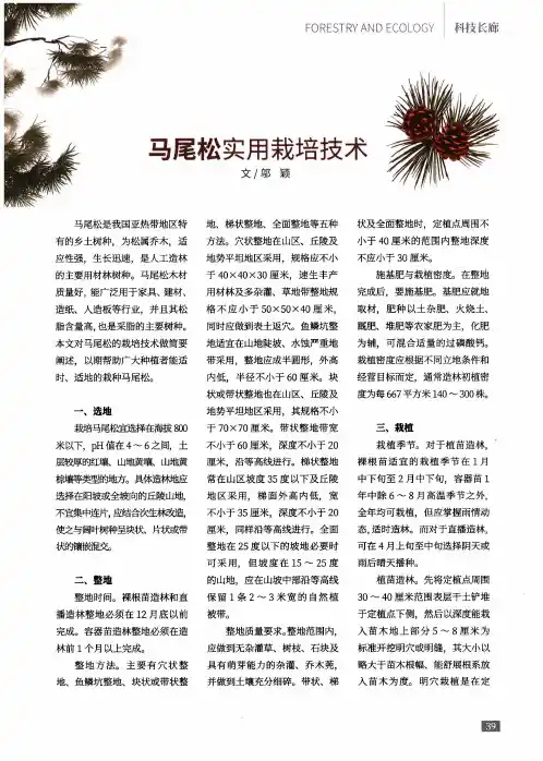 马尾松实用栽培技术