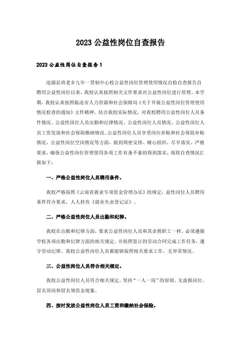 2023公益性岗位自查报告_3