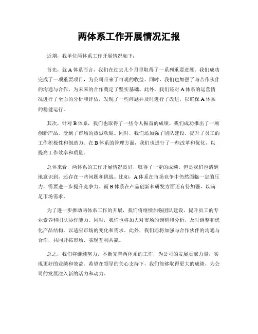 两体系工作开展情况汇报