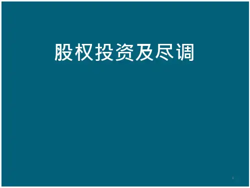 私募股权投资_(PE)探索
