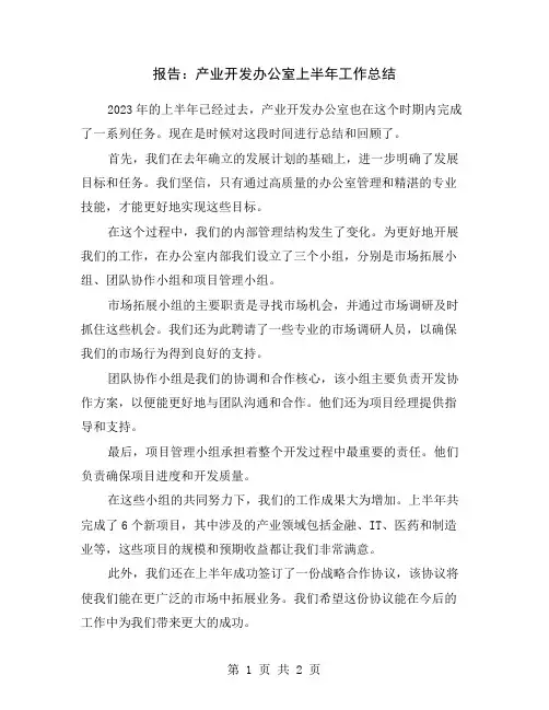 报告：产业开发办公室上半年工作总结