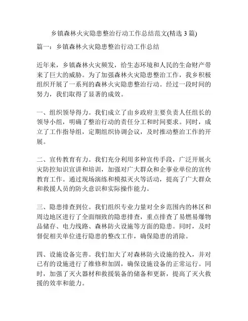 乡镇森林火灾隐患整治行动工作总结范文(精选3篇)