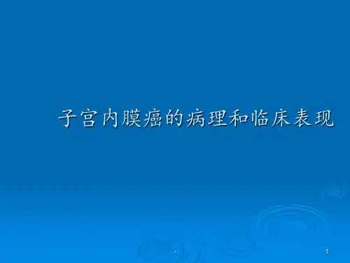 子宫内膜癌的病理和临床表现ppt课件