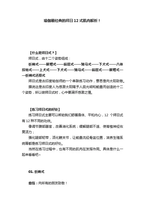 瑜伽最经典的拜日12式肌肉解析！