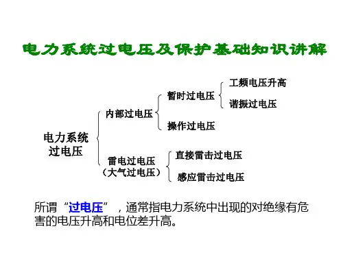 电力系统过电压及保护基础知识讲解