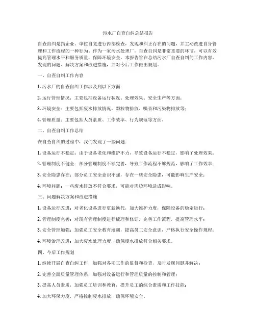 污水厂自查自纠总结报告