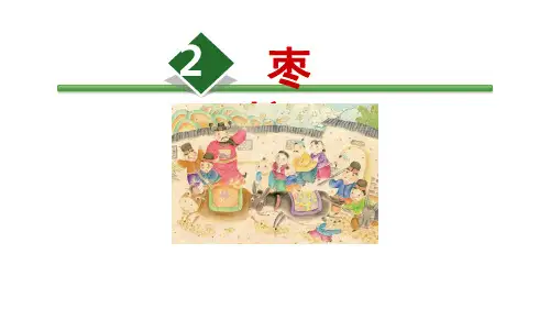 三年级下册《枣核》PPT精品课件部编版