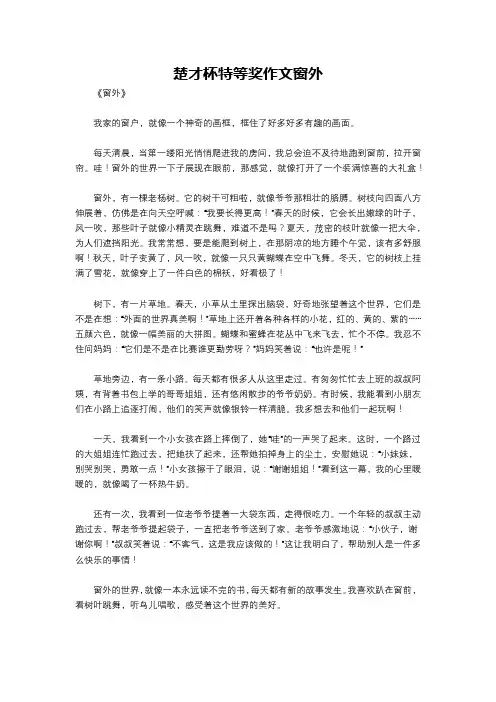 楚才杯特等奖作文窗外