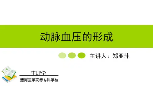 动脉血压的形成