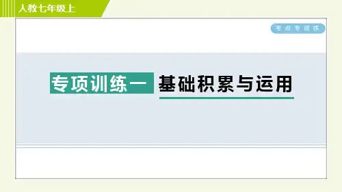 部编版七年级语文上册期末《 基础积累与运用》专项精品课件 (2)