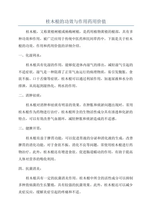 桂木根的功效与作用药用价值