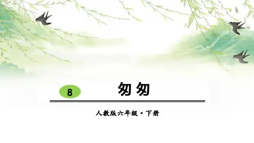 《匆匆》(完美版)PPT课件