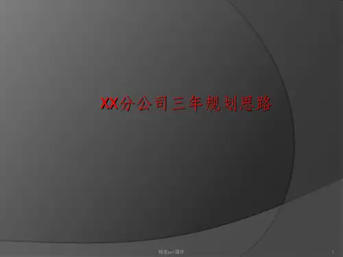 分公司未来三年发展规划思路分析ppt课件