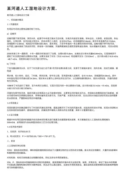 某河道人工湿地设计方案.