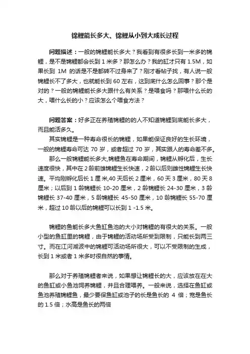 锦鲤能长多大、锦鲤从小到大成长过程