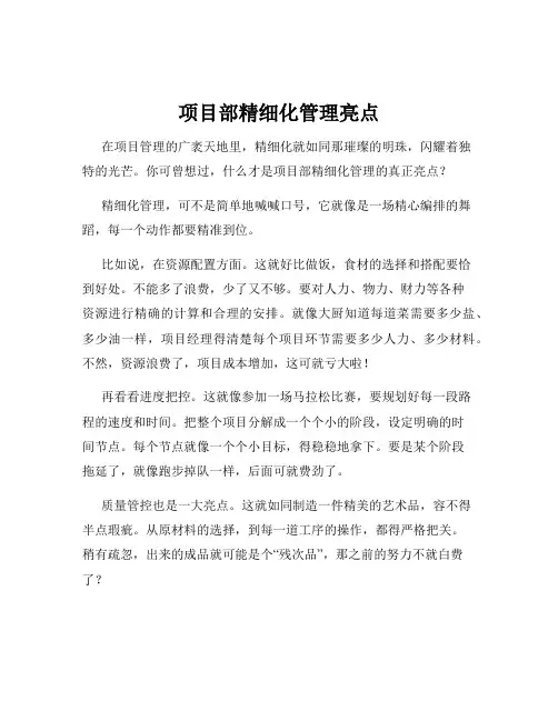 项目部精细化管理亮点