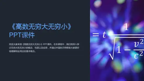 《高数无穷大无穷小》课件