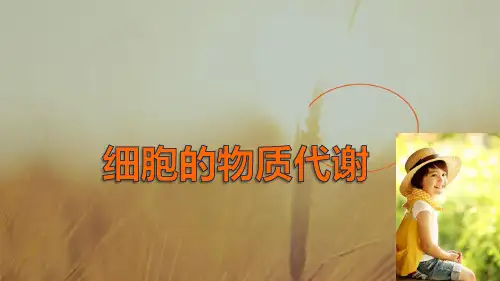 2018生物北师大版必修1课件：第4章 第15课时 细胞内外的物质交换二及细胞内的物质代谢