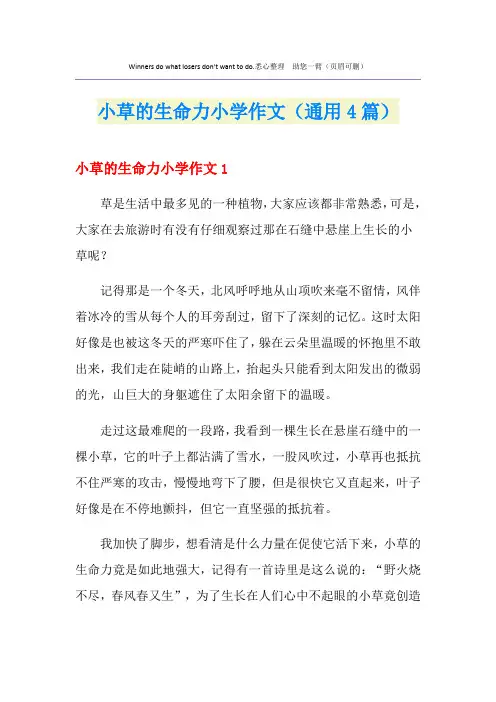 小草的生命力小学作文(通用4篇)