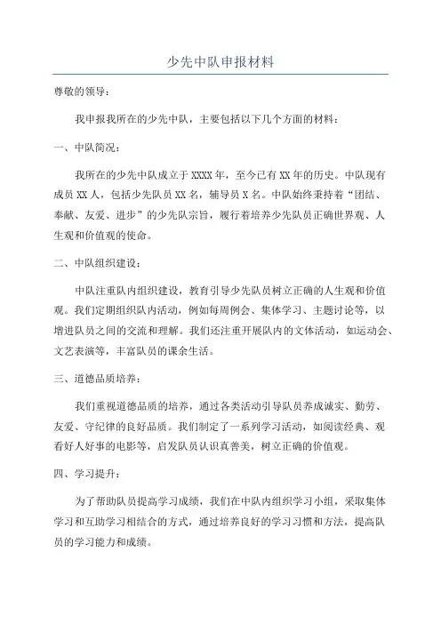 少先中队申报材料