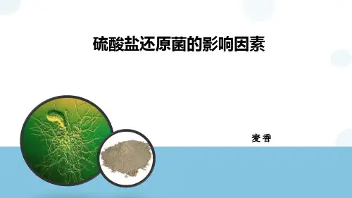硫酸盐还原菌影响因素(补充版)