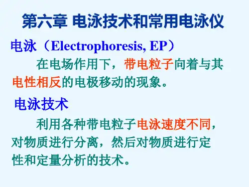 电泳技术和常用电泳仪