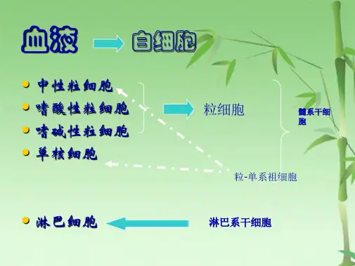白细胞计数和白细胞分类计数(共52张PPT)
