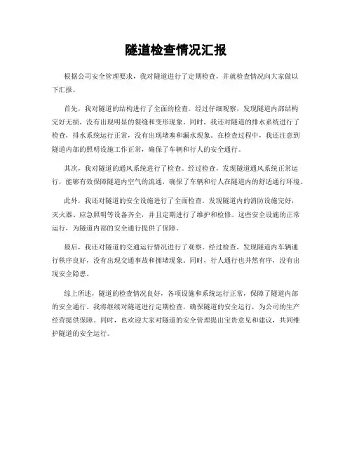 隧道检查情况汇报