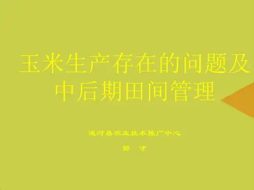 【精选】玉米生产存在的问题及中后期田间管理PPT资料