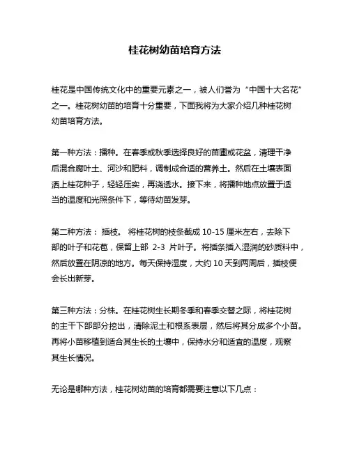 桂花树幼苗培育方法