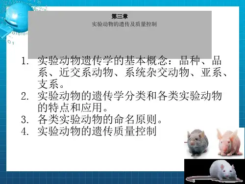 No3实验动物的遗传及质量控制