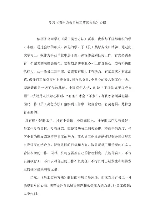 学习《省电力公司员工奖惩办法》心得