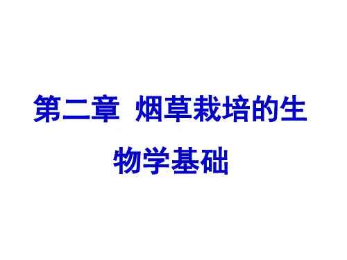 第二章  烟草栽培的生物学基础