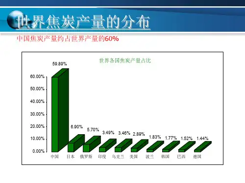 焦炭(冶金焦)资料文档