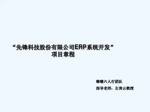 项目章程报告.ppt