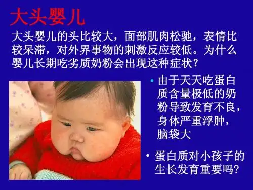 第三节   蛋白质