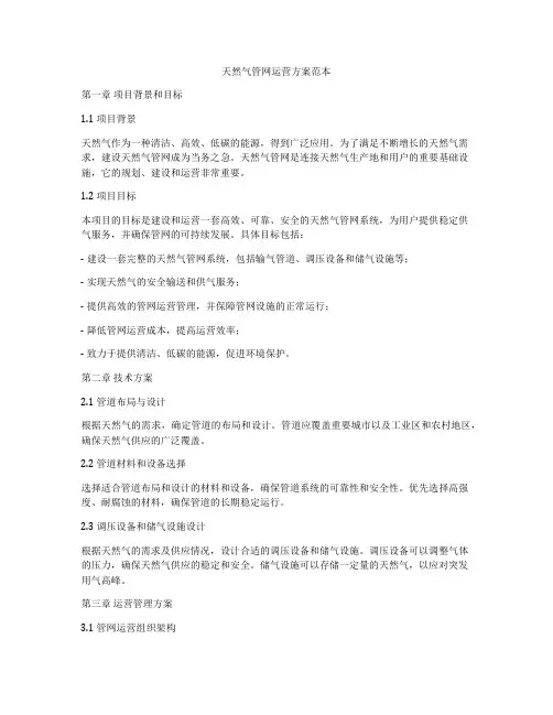 天然气管网运营方案范本