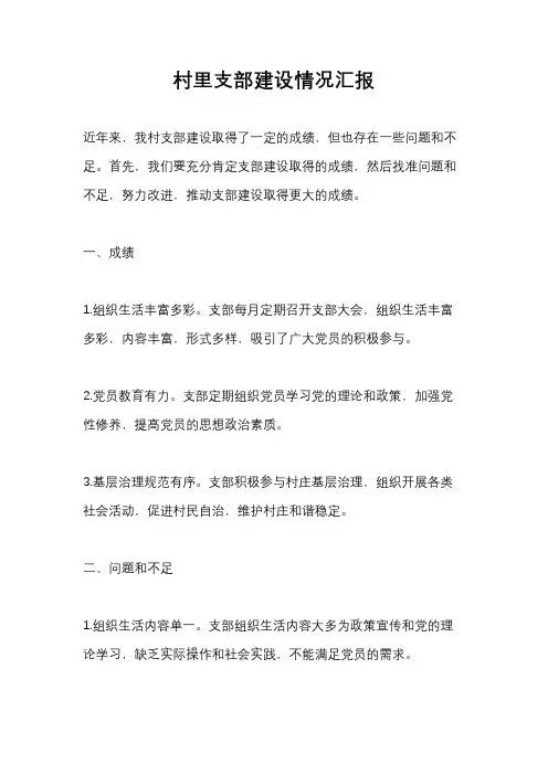 村里支部建设情况汇报