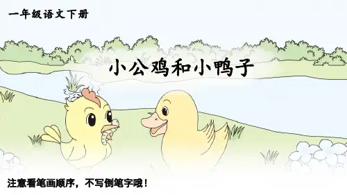 《小公鸡和小鸭子》生字笔顺课件(含配音)