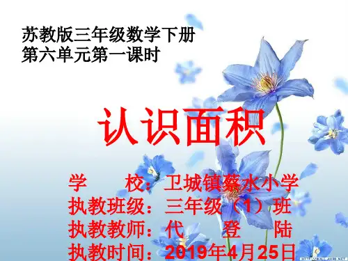 苏教版三年级下册数学《认识面积》课件