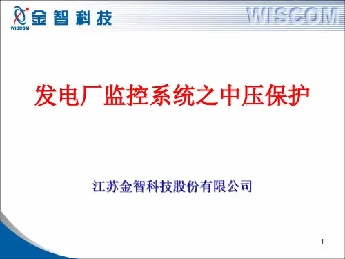厂用电保护装置