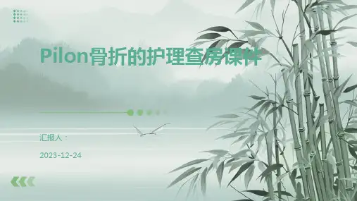 Pilon骨折的护理查房课件
